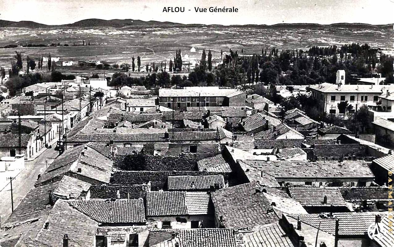 Aflou - Vue Generale 50.jpg